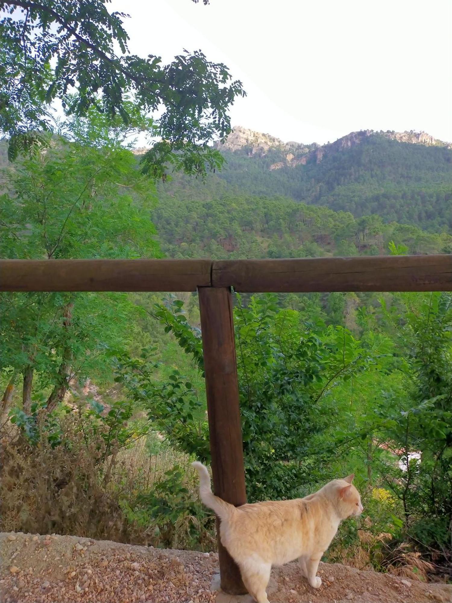 Casa Rural Mi Rincon Exquisito Orcera Ngoại thất bức ảnh